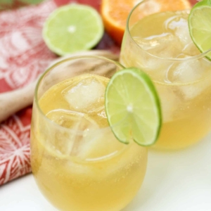 Summertime Citrus Infused Mocktails and Cocktails