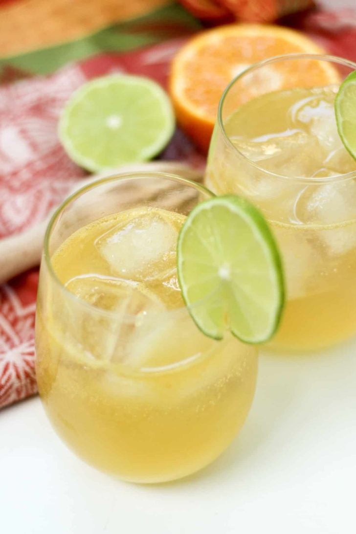 Summertime Citrus Infused Mocktails and Cocktails