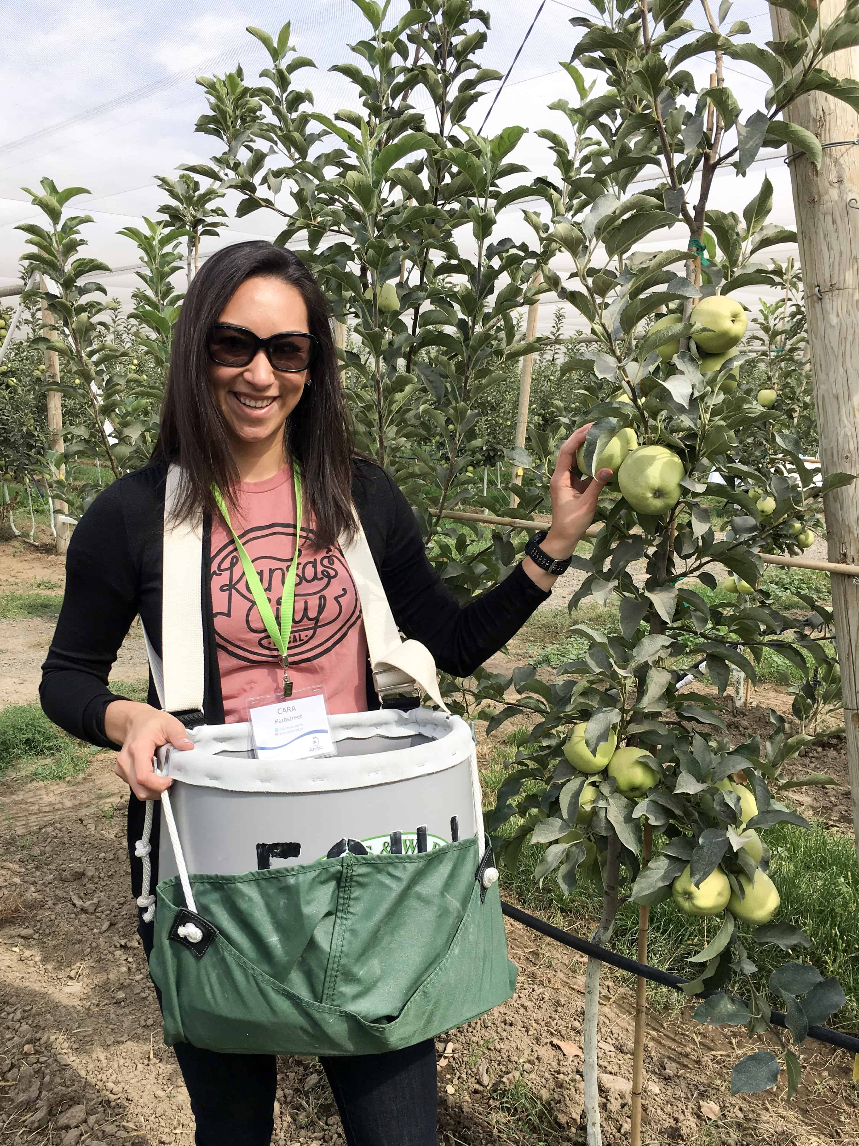 Explore Arctic Apples, Field Tour 2017