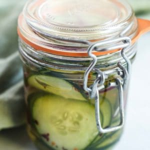 Quick PIckled Cucumbers and Onions