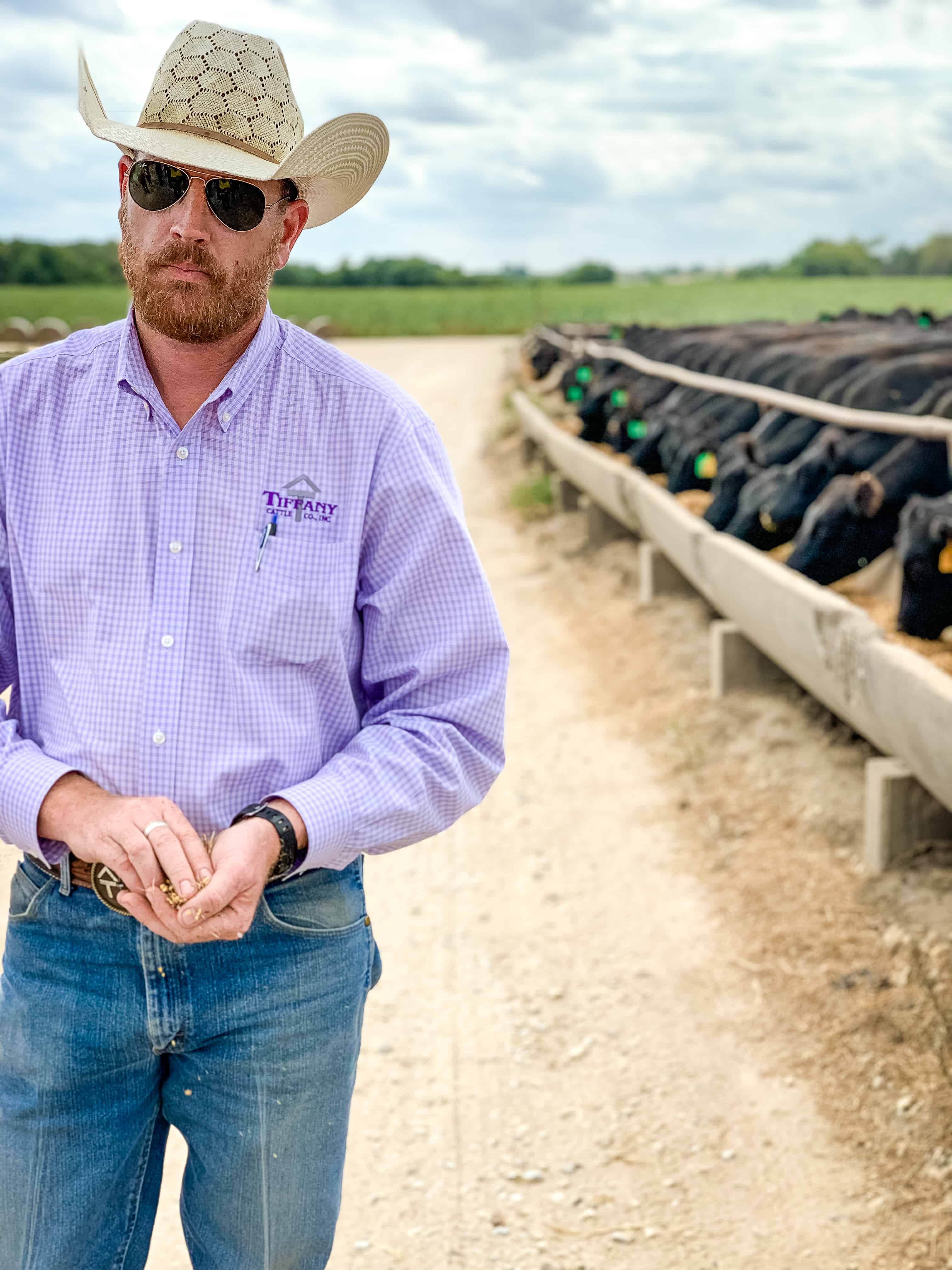 A bearded man wearing a cowboy hat and sunglasses faces the camera and holds some cattle feed ration in his hands, while a row of black beef cattle graze from a trough behind hiim.