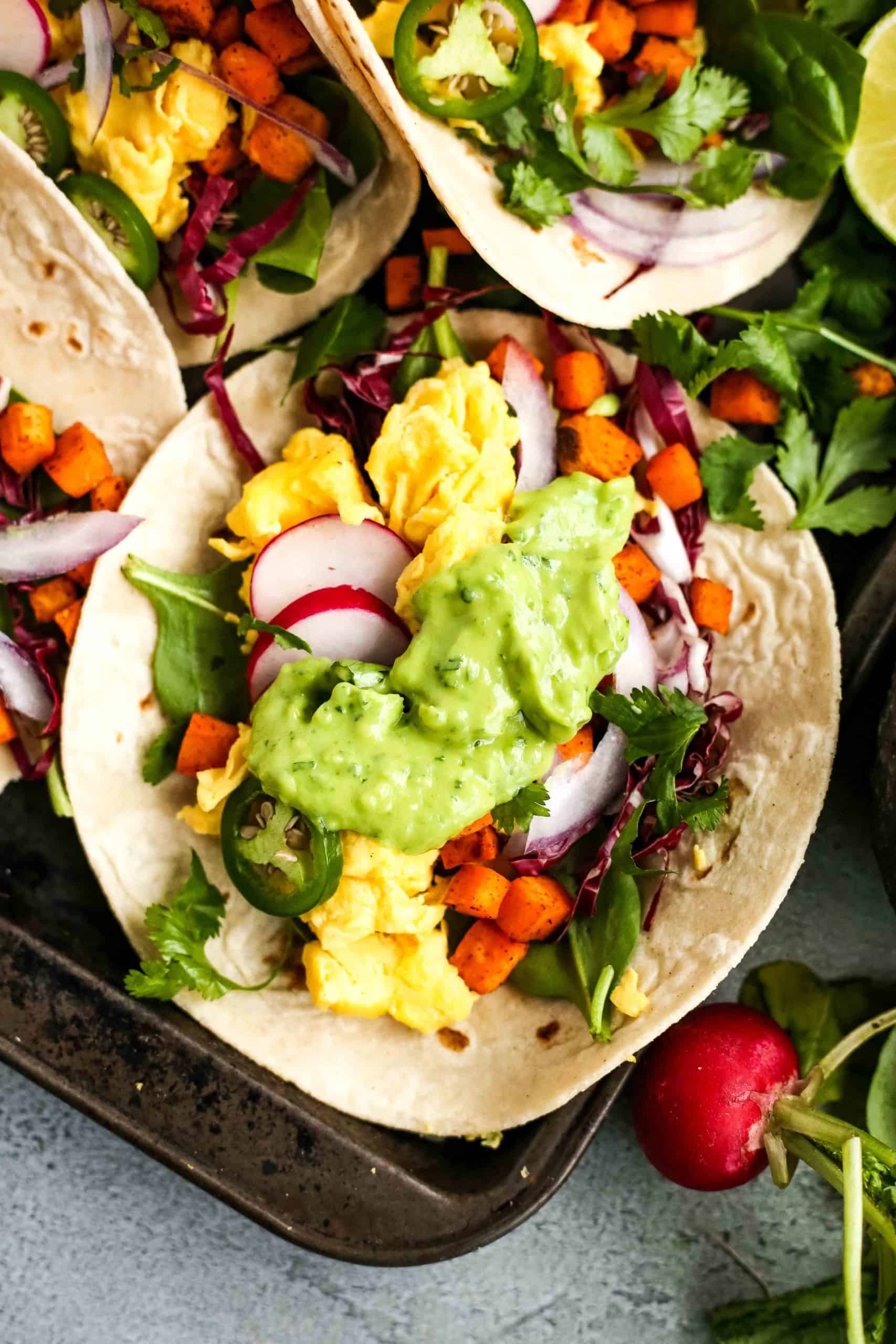 A close overhead view of a scrambled egg breakfast taco, topped with a general drizzle of a creamy avocado sauce, with colorful veggies filling the taco and extra cilantro scattered around it