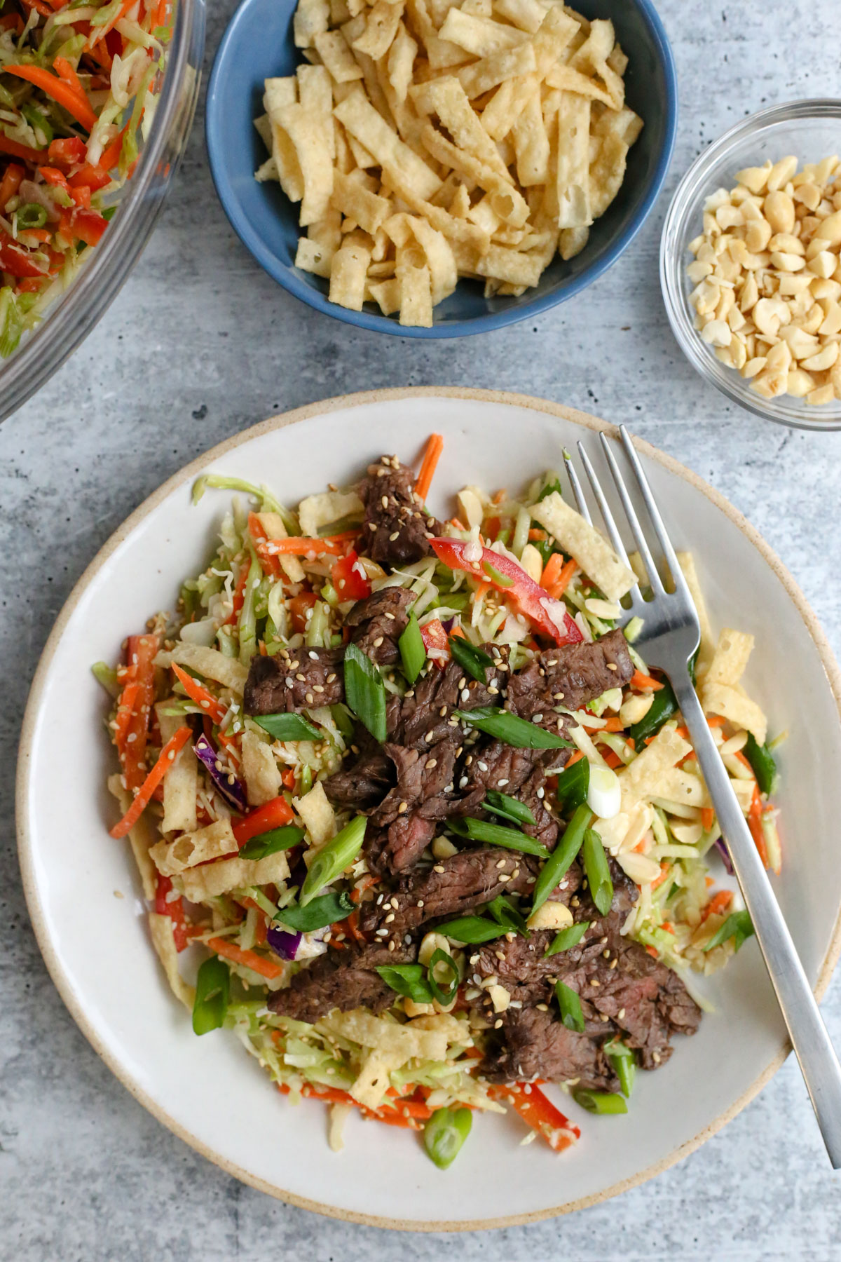 Overhead view of a skirt steak salad recipe with garnishes such as crispy wonton strips and chopped roasted peanuts